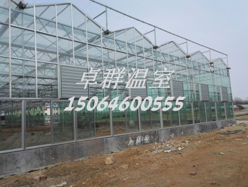 內(nèi)蒙古包頭市紋絡(luò)玻璃溫室。